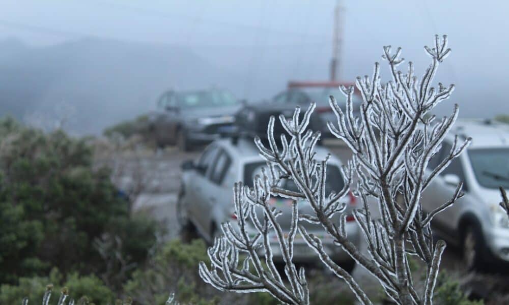 onda-de-frio-atinge-pico-com-5°c-em-sao-paulo-e-geada-no-sul-nesta-quarta