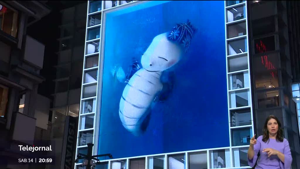 Portugal quer triplicar as receitas com turistas japoneses até 2028 | Cidade AC News – Notícias do Acre