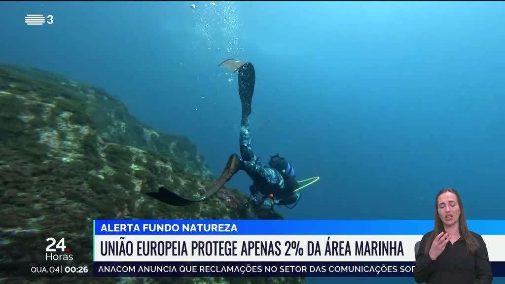 Fundo Mundial para a Natureza alerta para fim da proteção das áreas marinhas na União Europeia | Cidade AC News – Notícias do Acre