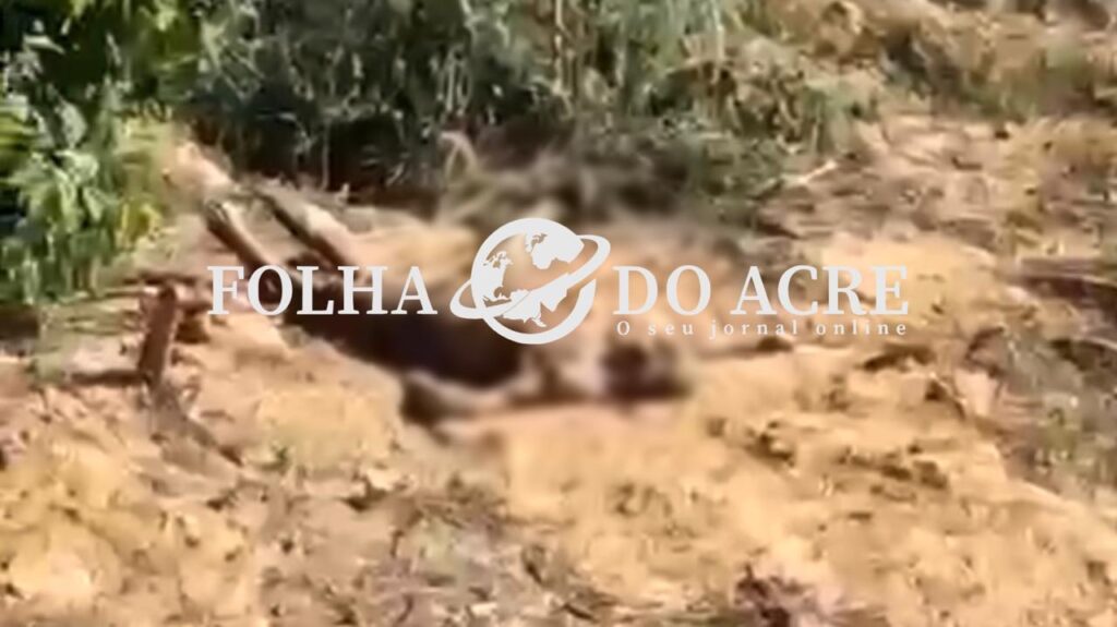 corpo-de-homem-desaparecido-e-encontrado-em-avancado-estado-de-decomposicao-no-lixao-de-cruzeiro-do-sul