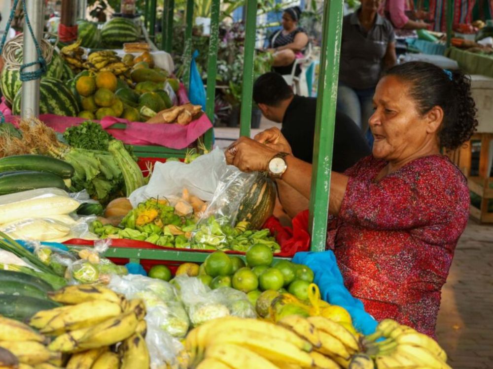 ministerio-cria-programa-para-fortalecer-feiras-e-garantir-comida-saudavel-vinda-do-campo