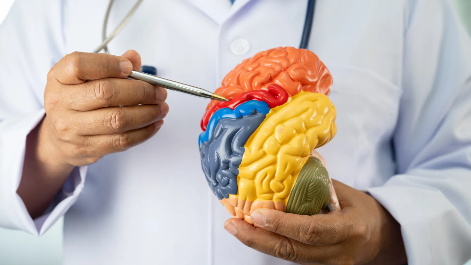 medico-fala-11-habitos-que-podem-reduzir-pela-metade-o-risco-de-alzheimer