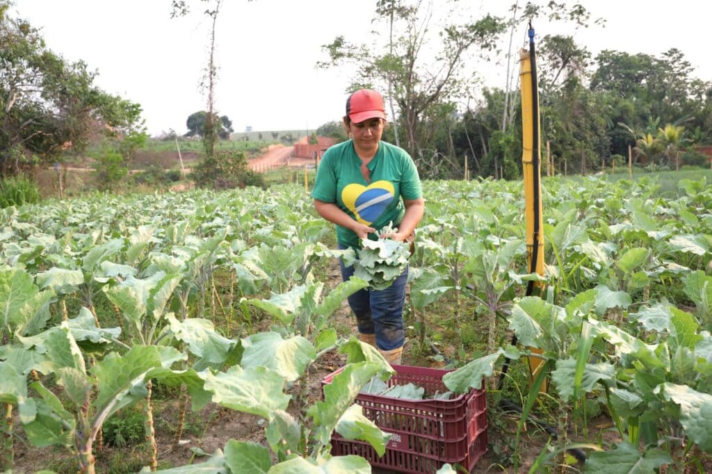 sena-madureira-institui-comissao-para-credenciamento-de-agricultores-familiares