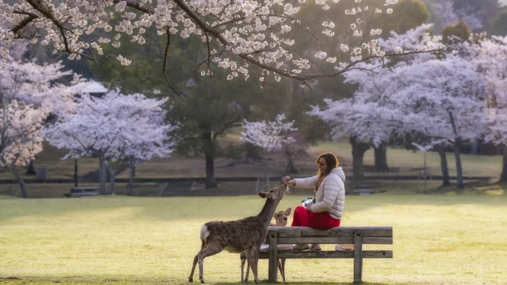 companhia-animal:-os-preferidos-da-ciencia-pra-nos