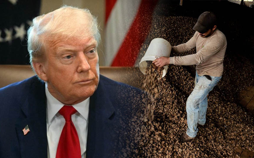 decreto-do-presidente-trump-afeta-comercio-de-castanha-e-madeira-no-acre