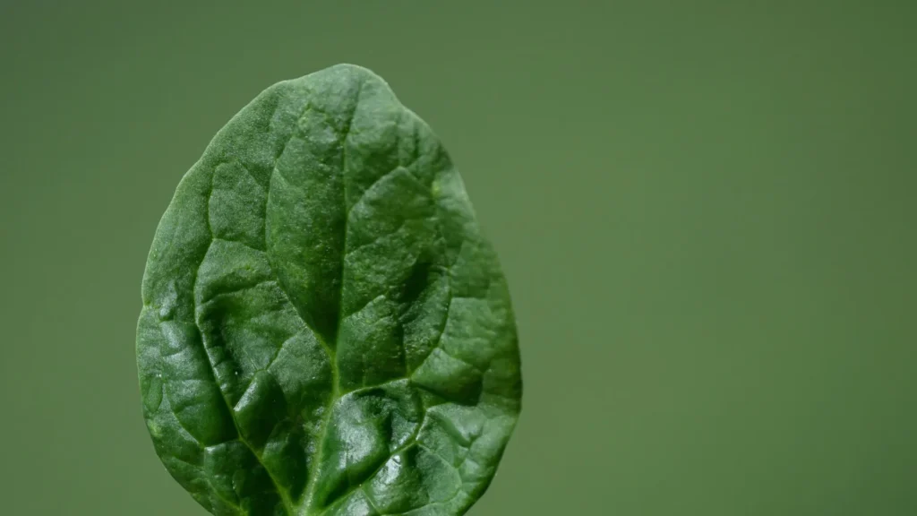 comidas-para-evitar-o-estresse,-a-ansiedade-e-a-depressao