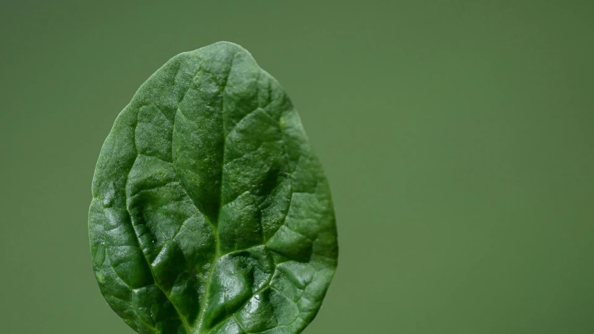 comidas-para-evitar-o-estresse,-a-ansiedade-e-a-depressao