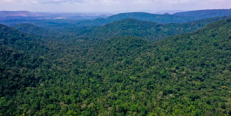 Estratégia apresenta as diretrizes para os 16 planos setoriais e temáticos, a serem validados na próxima reunião do Subcomitê, em setembro - Foto: TV Brasil