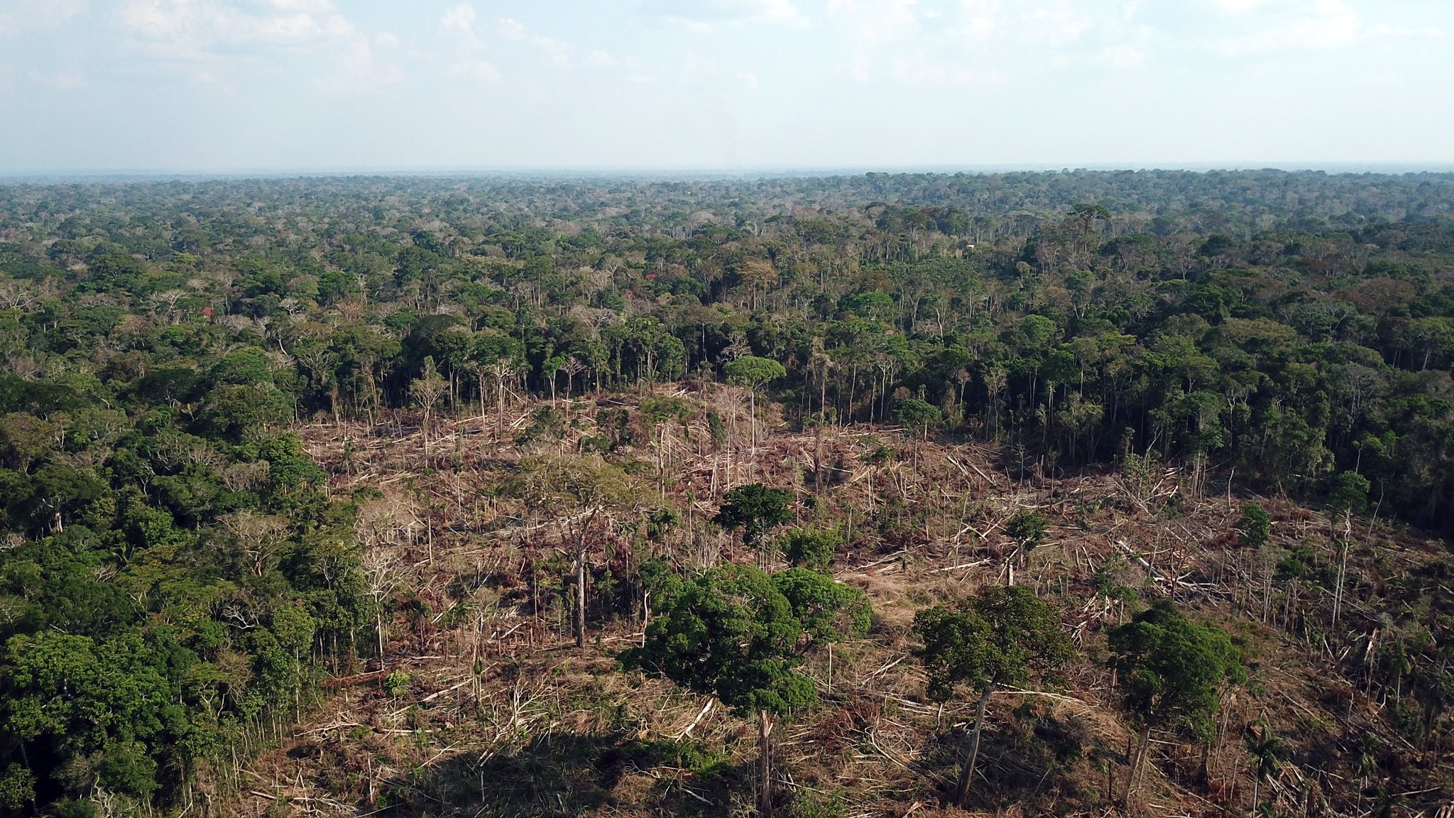 Desmatamento acelerado no Acre põe em risco comunidades e apaga memória ambiental da Amazônia