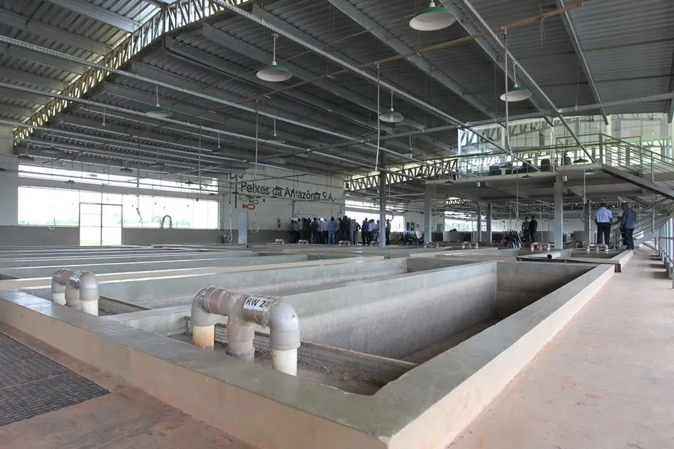 Foto atual do frigorífico abandonado ou print do vídeo do ex-funcionário.