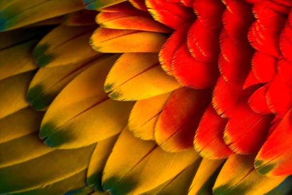 Relatório de Riscos e Oportunidades Sociais, Ambientais e Climáticos retrata iniciativas do BC na promoção de sistema financeiro mais inclusivo e sustentável | Cidade AC News – Notícias do Acre