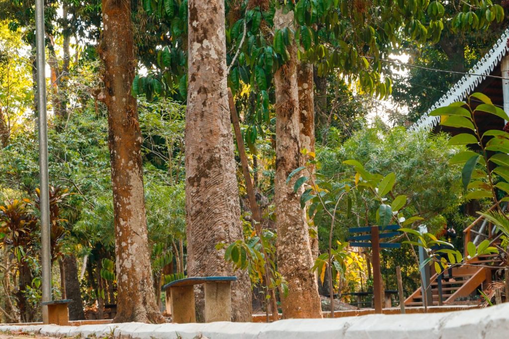 Parque Capitao Ciriaco 11