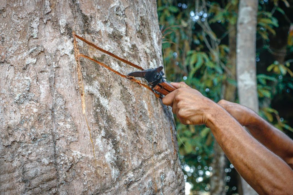 Parque Capitao Ciriaco 12