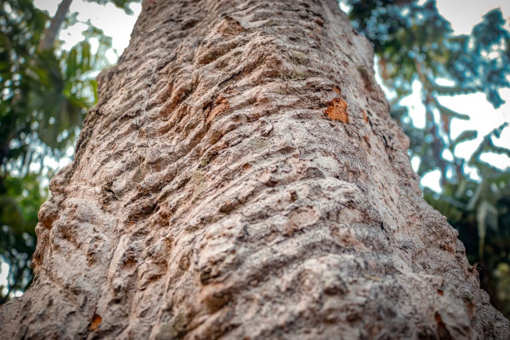 Parque Capitao Ciriaco 32