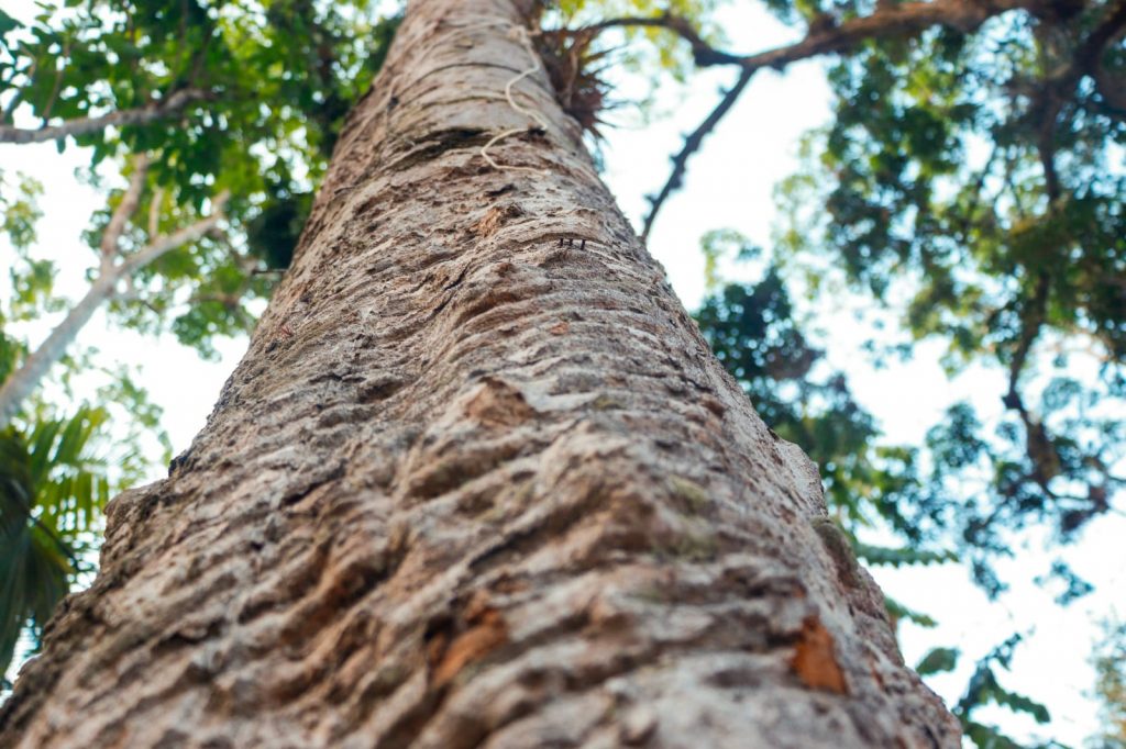 Parque Capitao Ciriaco 35