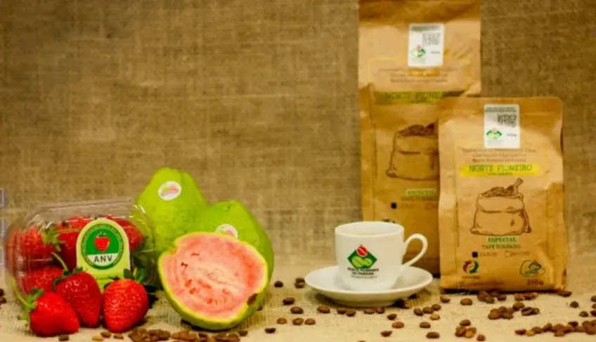 sebrae-e-inpi-debatem-medidas-para-agilizar-processos-de-indicacoes-geograficas