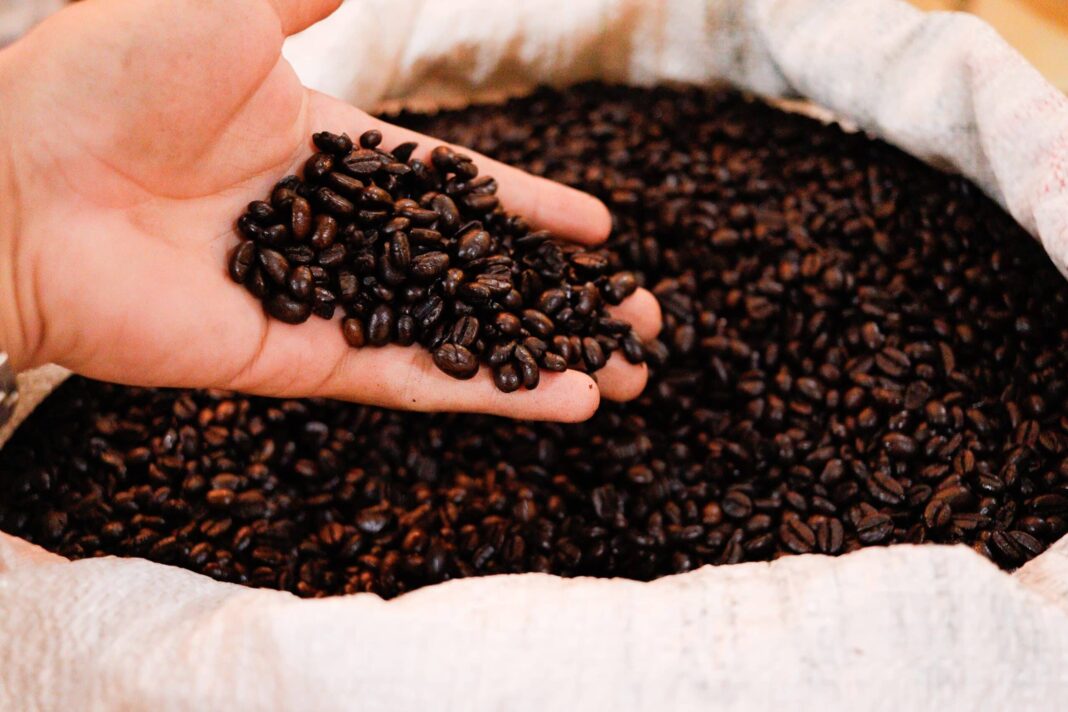 produtores-de-cafe-do-acre-participam-de-missao-internacional-na-italia-para-fortalecer-cadeia-produtiva