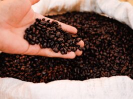 produtores-de-cafe-do-acre-participam-de-missao-internacional-na-italia-para-fortalecer-cadeia-produtiva