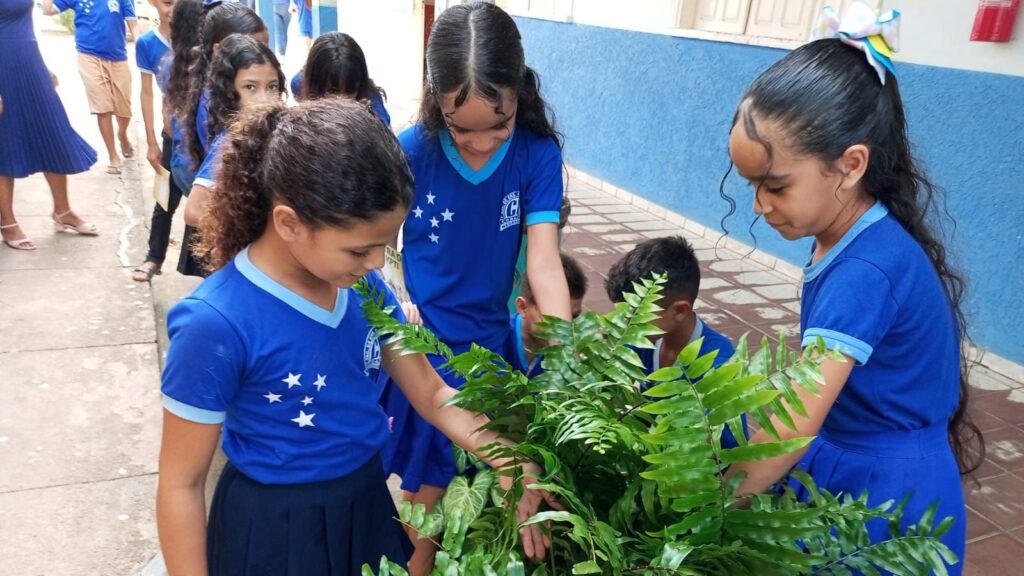 projeto-“todos-contra-o-aedes-aegypti”-inicia-segunda-etapa-com-formacao-e-dia-d-de-mobilizacao-em-rio-branco