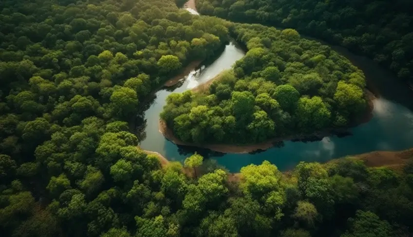 conheca-mais-sobre-justica-climatica-e-regulamentacao-climatica