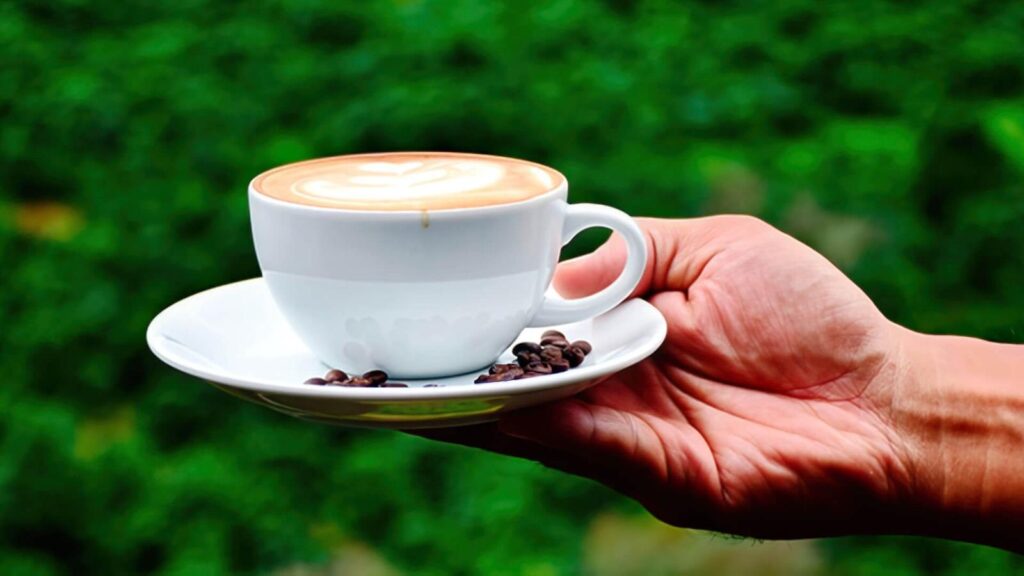  Café Amazônico e Bioeconomia