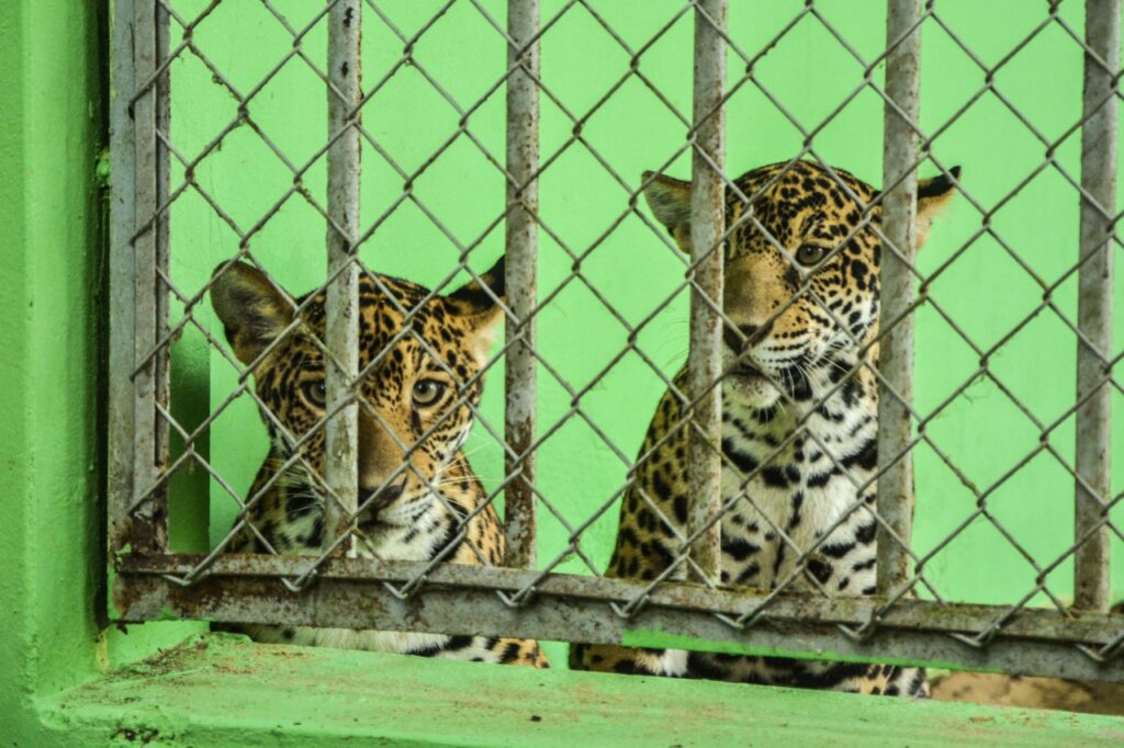 Parque Chico Mendes Rio Branco, principal área de lazer e turismo no Acre