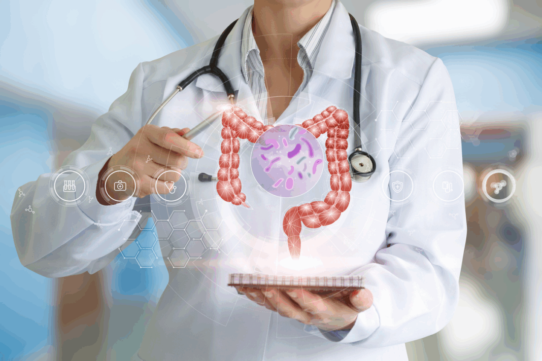 imunidade e intestino