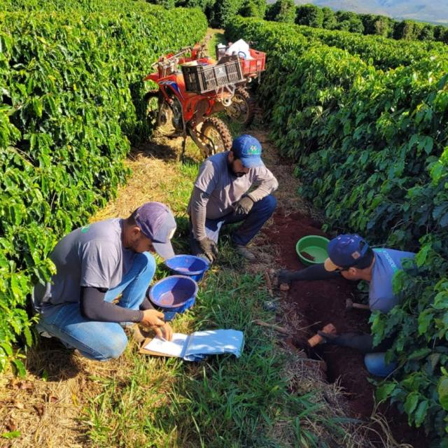 Inscrições abertas de curso gratuito para jornalistas sobre mudanças climáticas e agricultura | Cidade AC News – Notícias do Acre