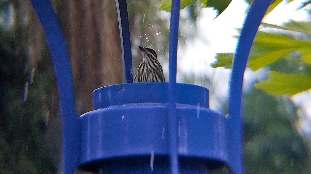 410a54dc f46d 4b15 9b7d 298024bff77a e1758316913513