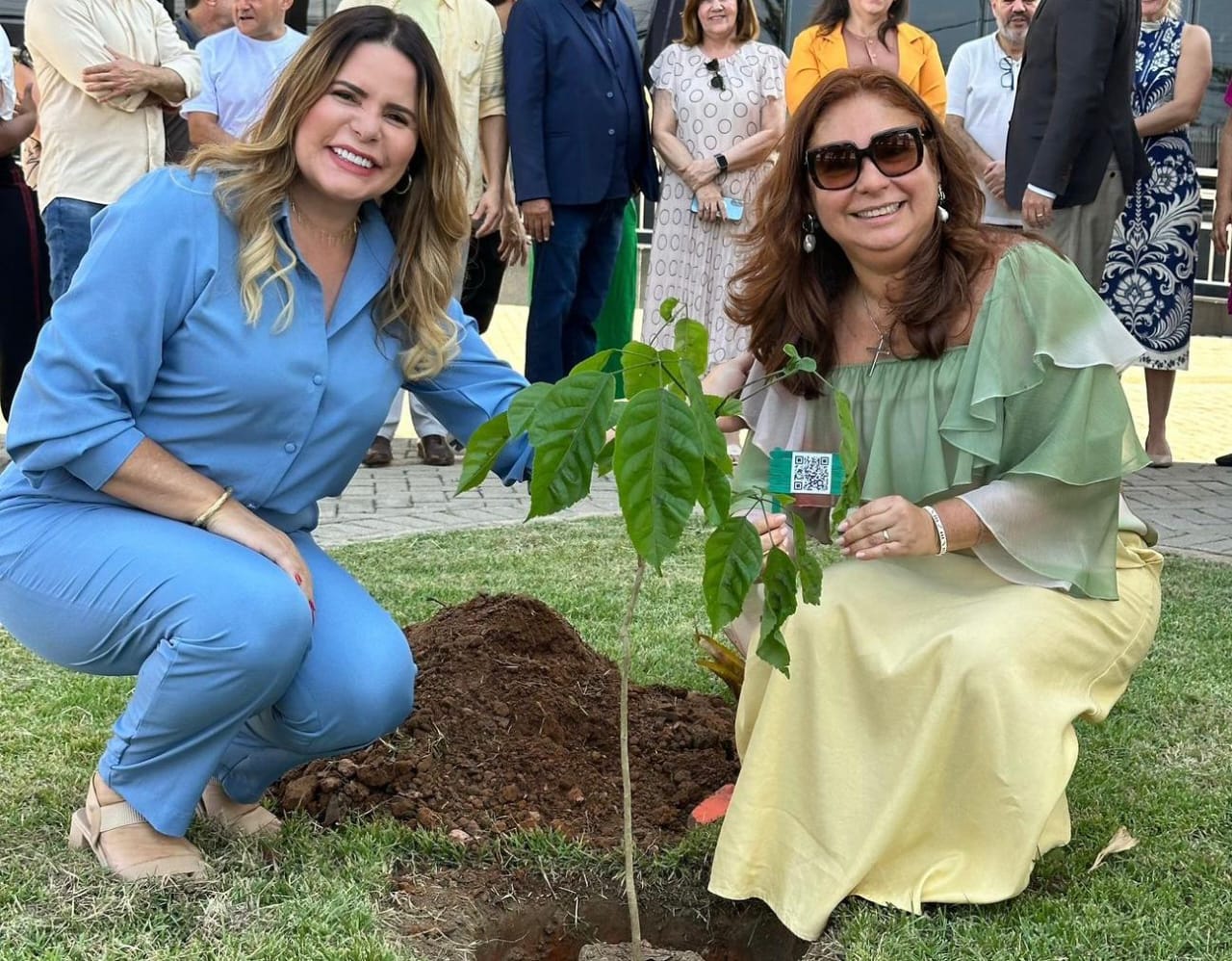 6e6abfb4 612e 433e b092 497f952c4fd0