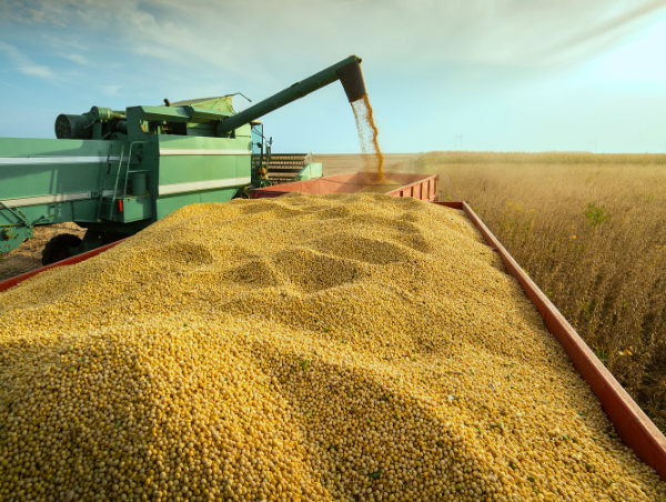 PIB gaúcho cai 2,7% no segundo trimestre | Cidade AC News – Notícias do Acre