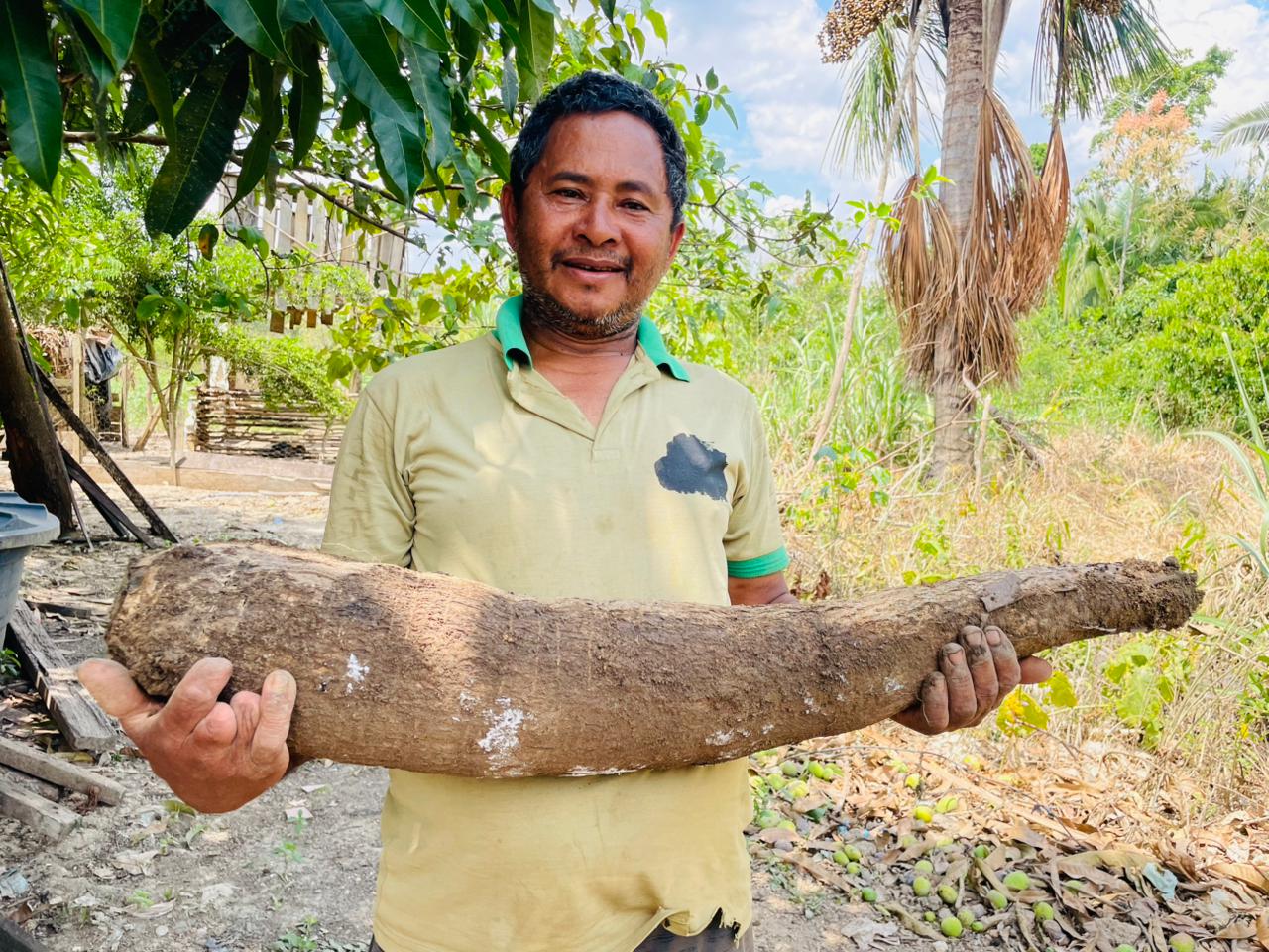Festival da Macaxeira 1