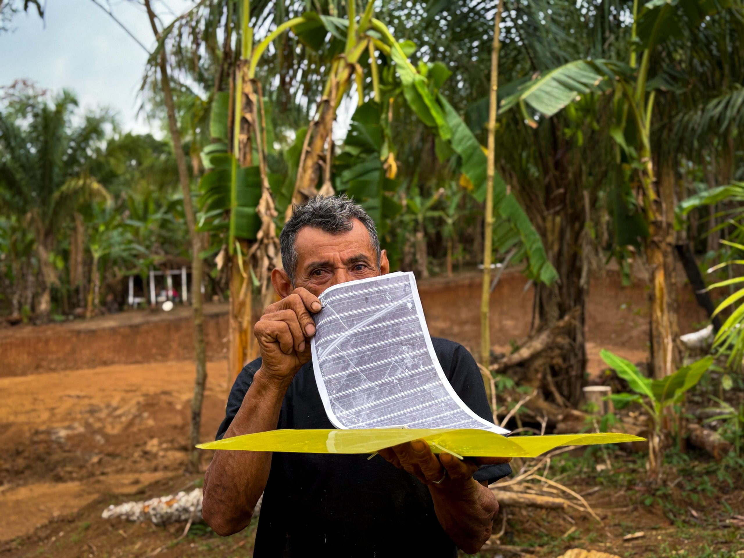 Fiscalização Semeia