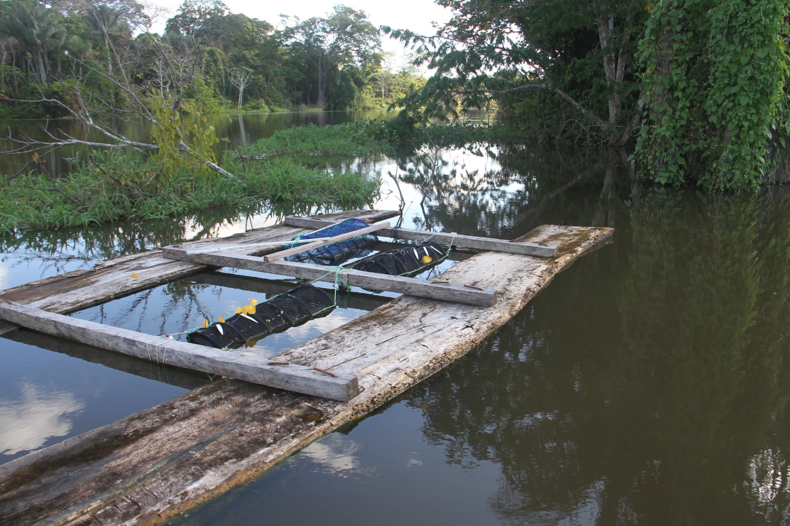 O que significam inventário de emissões e transparência climática? | Cidade AC News – Notícias do Acre