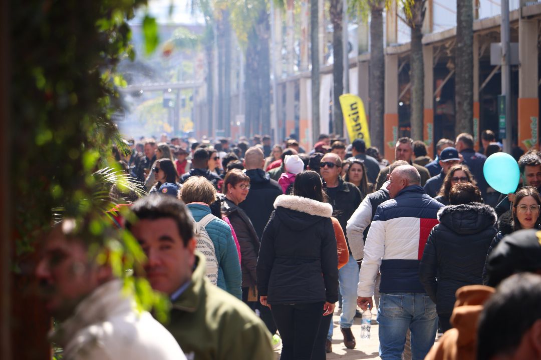 Expointer 2025 é lançada oficialmente | Cidade AC News – Notícias do Acre