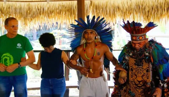 sebrae-acelera-a-bioeconomia-amazonica:-conexoes-que-transformam-o-potencial-em-realidade