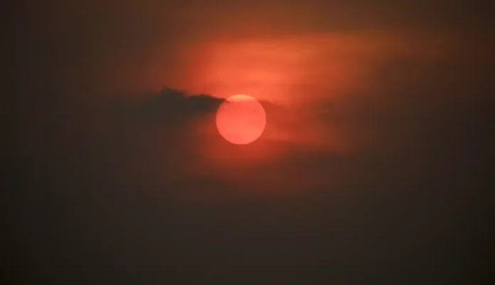 adaptacao-e-resiliencia-climatica:-conheca-o-significado-de-cada-termo adaptacao-e-resiliencia-climatica:-conheca-o-significado-de-cada-termo