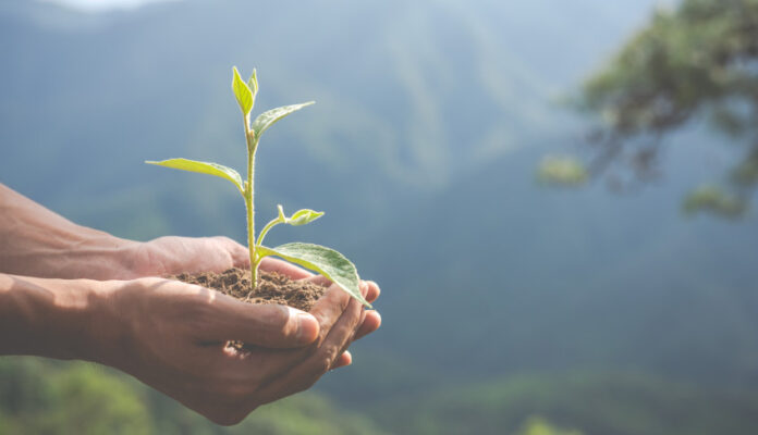 desenvolvimento-sustentavel-dos-pequenos-negocios-sera-destaque-na-cop30