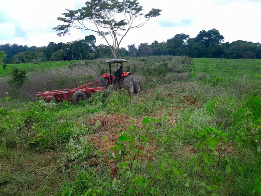 programa-de-incentivo-a-producao-de-mandioca-beneficia-250-produtores-da-regiao-do-alto-acre