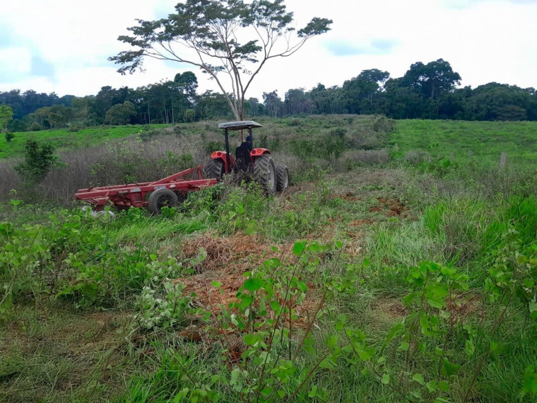 programa-de-incentivo-a-producao-de-mandioca-beneficia-250-produtores-da-regiao-do-alto-acre