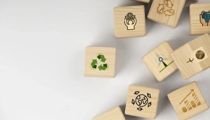 conheca-detalhes-do-empreendedorismo-sustentavel-e-do-ecossistema-de-inovacao-verde