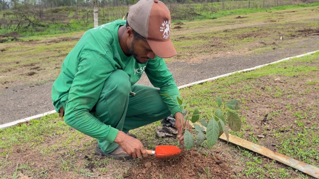 prefeitura-de-rio-branco-inicia-programa-de-recomposicao-da-arborizacao-urbana
