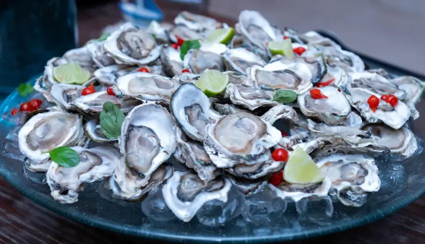 sabor-e-tradicao:-ostras-do-cabaraquara-(pr)-conquistam-selo-de-indicacao-geografica