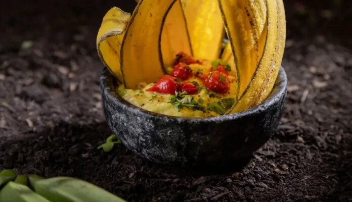 mais-do-que-tendencia:-alimentacao-vegana-cria-oportunidades-para-diferenciacao-no-mercado