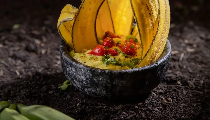 mais-do-que-tendencia:-alimentacao-vegana-cria-oportunidades-para-diferenciacao-no-mercado