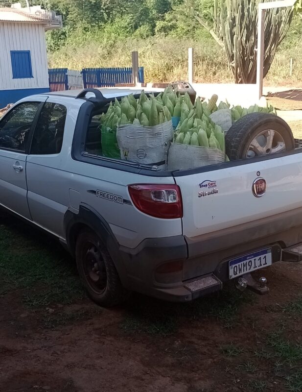 Centenas de famílias fornecem frutas, legumes, verduras e proteínas diretamente ao Governo do Estado.