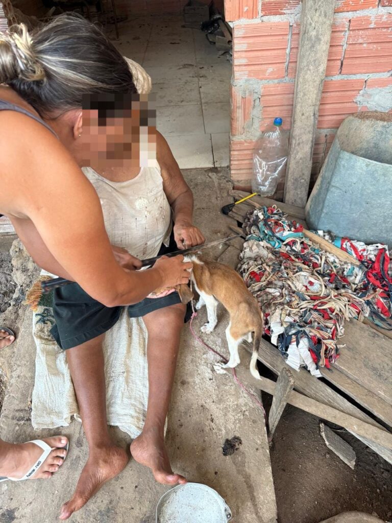 Polícia Civil resgata cadela vítima de maus-tratos e identifica idosa em situação de vulnerabilidade em Rodrigues Alves | Cidade AC News – Notícias do Acre