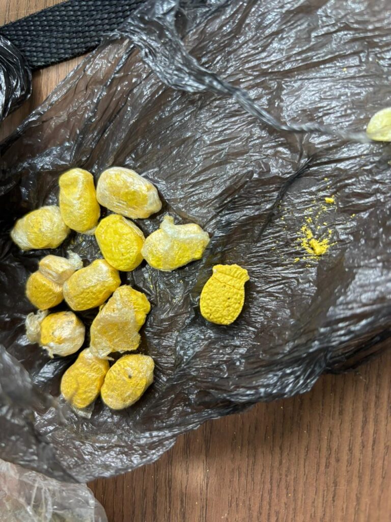 Polícia Civil deflagra megaoperação em Assis Brasil e prende líder de facção responsável por homicídios na fronteira | Cidade AC News – Notícias do Acre