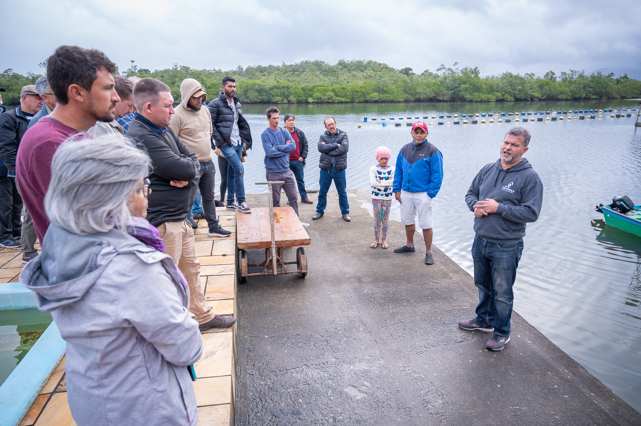 Sabor e tradição: ostras do Cabaraquara (PR) conquistam selo de Indicação Geográfica | Cidade AC News – Notícias do Acre