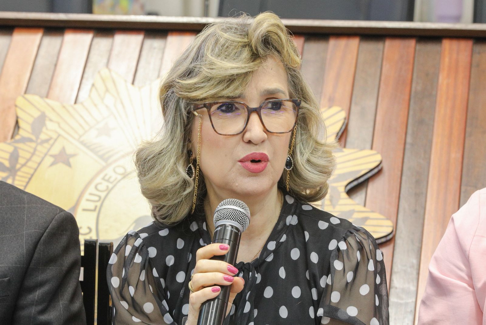 Aleac realiza audiência pública para debater o aumento dos casos de feminicídio no Acre – Cidade AC News Aleac realiza audiência pública para debater o aumento dos casos de feminicídio no Acre | Cidade AC News – Notícias do Acre